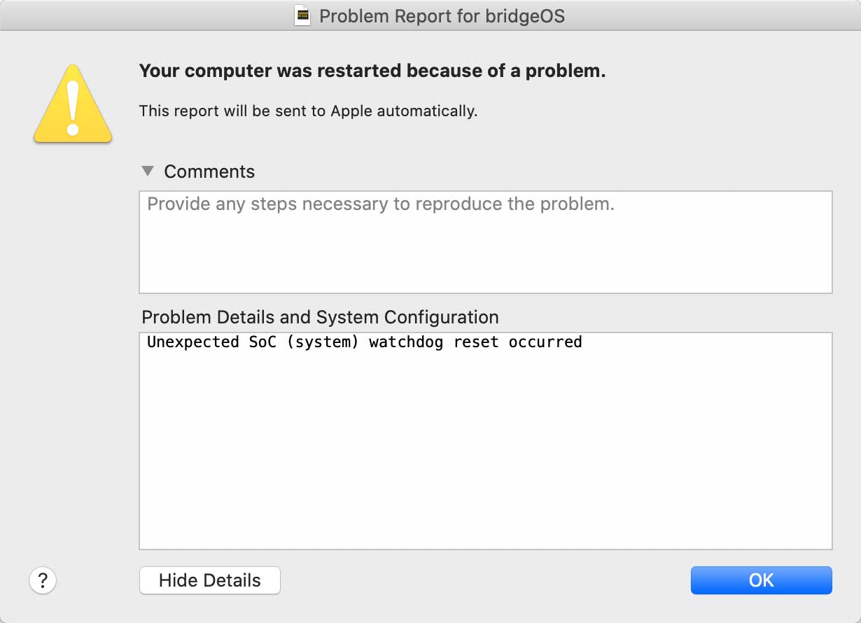 bridgeOS crash
