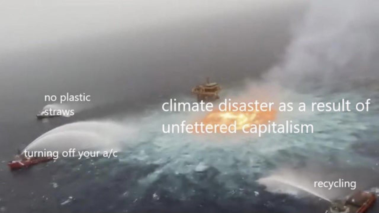 recycling disaster capitalism meme