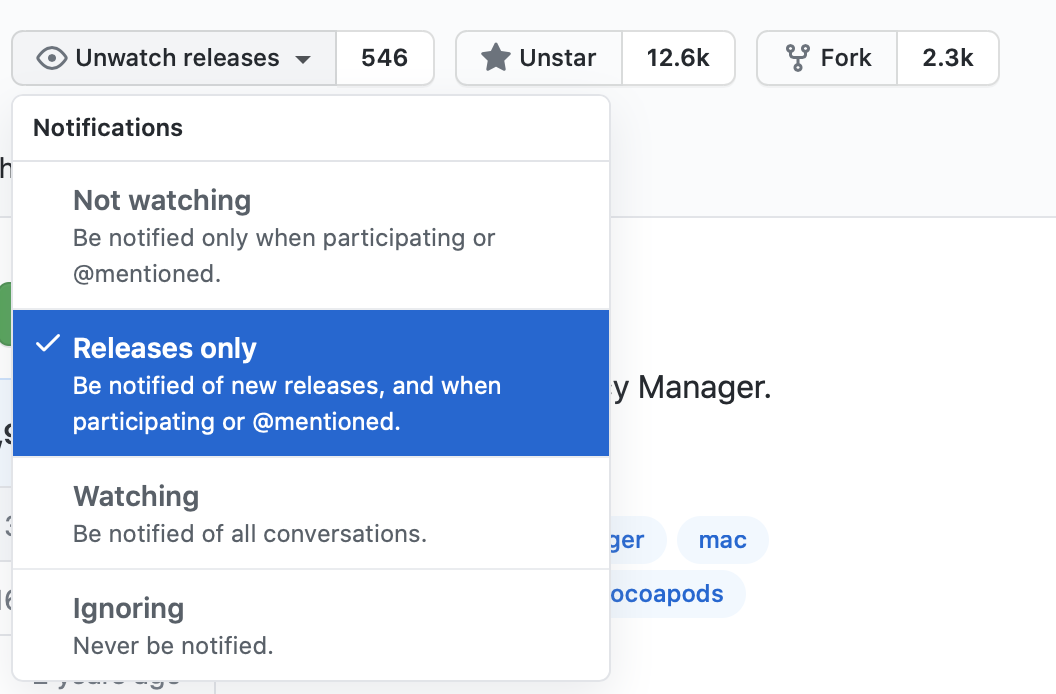 Watching releases only on GitHub